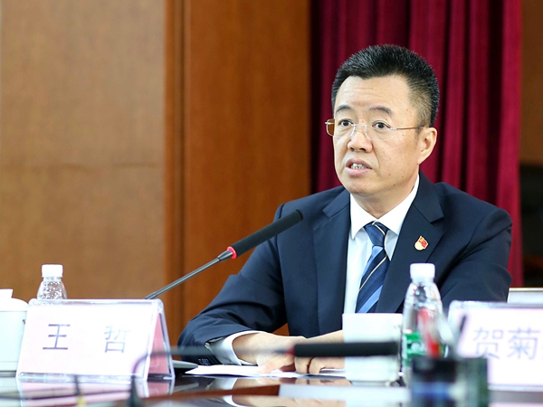 王哲书记向大会作工作报告